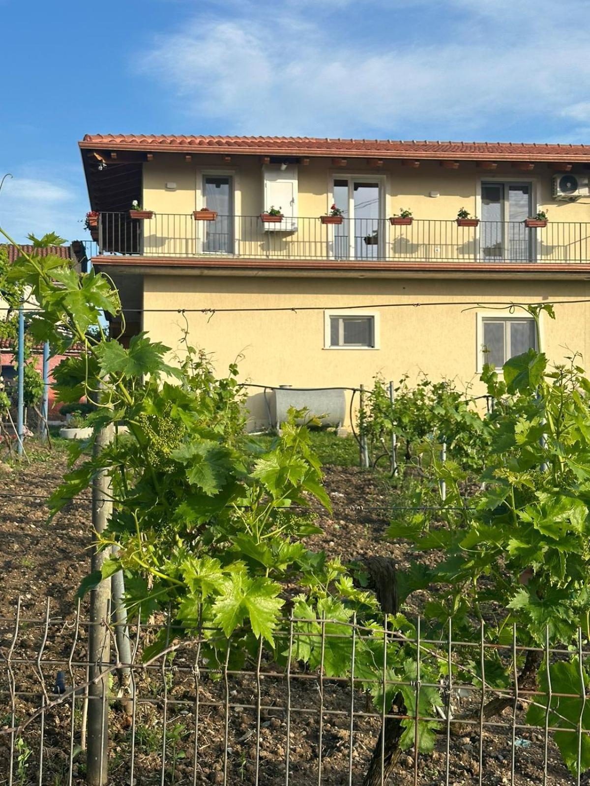 Guesthouse Marku - Mrizi I Zanave Fishte Exterior photo